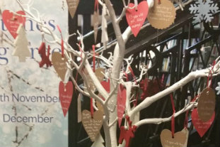 `Wishing tree’ returns to Dundee this Christmas